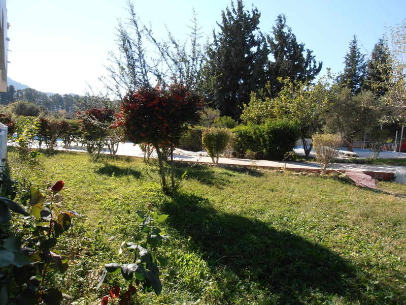 Belvita Hotel Kolymbia Eksteriør billede